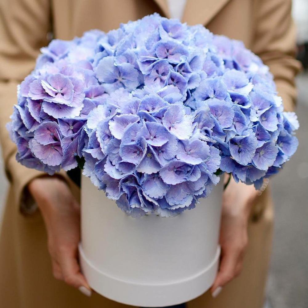 Шляпная коробка с 7 голубыми гортензиями Шляпная коробка с 7 голубыми гортензиями