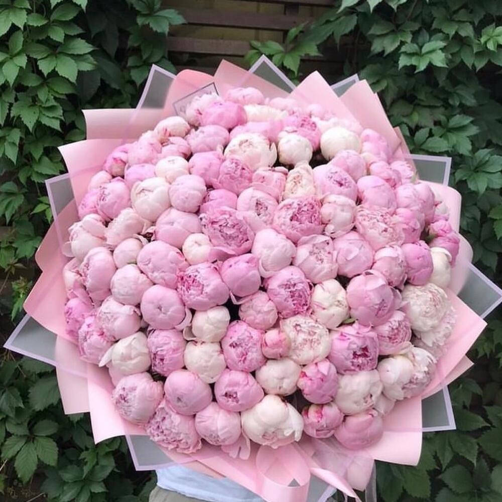 Букет из 101 пионов микс